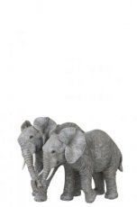 Koppel grijze olifanten J-line