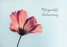 Wenskaart Met oprechte deelneming
