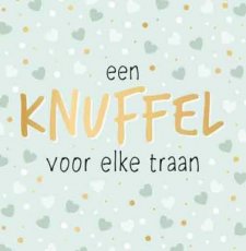 Artige Compassion 49 Wenskaart Een knuffel voor elke traan