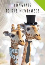 Wenskaart Congrats to the newlyweds