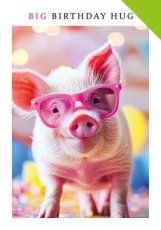 Artige Fun 14 Wenskaart Big birthday hug