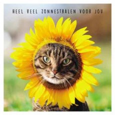 Artige Fun 32 Wenskaart Heel veel zonnestralen voor jou