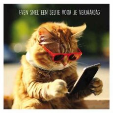 Artige Fun 34 Wenskaart Even snel een selfie