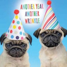 Wenskaart Another year another wrinkle