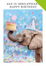 Artige Fun 43 Wenskaart Age is irrelephant