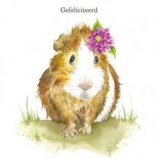 Wenskaart Gefeliciteerd