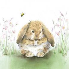 Blanco wenskaart