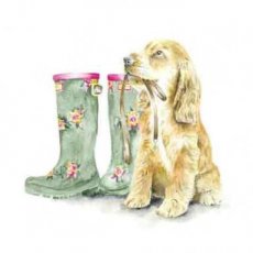 Artige Mooz 23 Blanco wenskaart