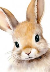 Blanco wenskaart