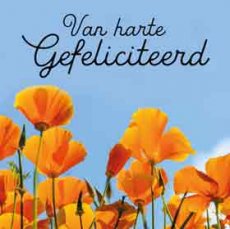 Artige Voor jou 22 Mini kaartje Gefeliciteerd