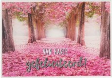 3D wenskaart Gefeliciteerd