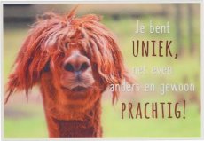 Depesche 3D 28 3D wenskaart Je bent uniek