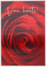 Depesche 3D 50 3D wenskaart Van harte