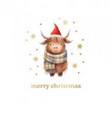 Wenskaart Merry Christmas