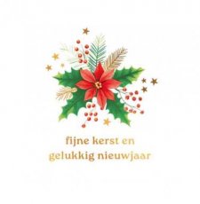 Wenskaart Fijne kerst en gelukkig nieuwjaar
