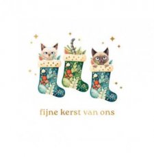 Wenskaart Fijne kerst van ons