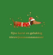 Wenskaart Fijne kerst en gelukkig nieuwjaaaaaaar