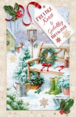 Kerst Hangpakje kerst lannoo L14 Pakketje van 8 kerstkaarten met envelop