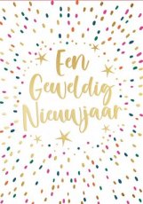 Pakketje met 10 nieuwjaarskaarten