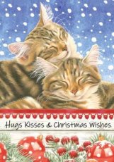 Wenskaart Hugs kisses & Christmas wishes