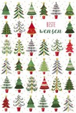 Kerst Mistletoe lannoo 05 Wenskaart Beste wensen