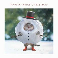 Kerst Tracks 13 Kerstkaart have a (n)ice christmas