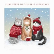 Kerstkaart Fijne kerst en gelukkig nieuwjaar