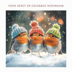 Kerstkaart Fijne kerst en gelukkig nieuwjaar