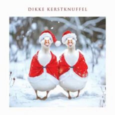Kerstkaart Dikke kerstknuffel