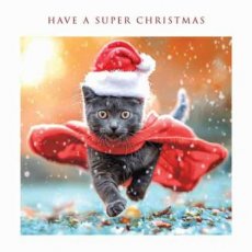 Wenskaart Have a super christmas