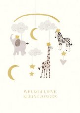 Lannoo Adorable 08 Wenskaart Welkom lieve kleine jongen