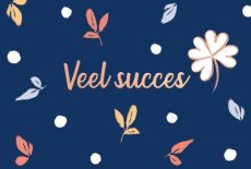 Wenskaart Veel succes