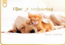 Wenskaart Fijne verjaardag