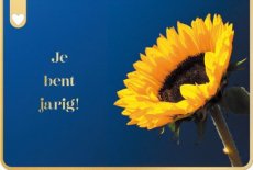 Lannoo Mer du nord 08 Wenskaart Je bent jarig