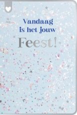 Lannoo Mer du nord 16 Wenskaart Feest
