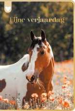 Wenskaart Fijne verjaardag