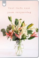 Lannoo Mer du nord 19 Wenskaart Veel liefs voor jouw verjaardag