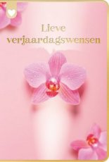 Lannoo Mer du nord 23 Wenskaart Lieve verjaardagswensen