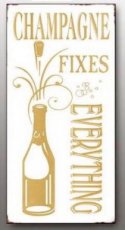 Magneet: Champagne fixes everything. EM5329